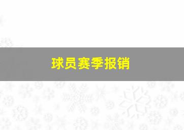 球员赛季报销