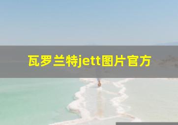 瓦罗兰特jett图片官方