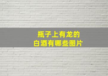 瓶子上有龙的白酒有哪些图片