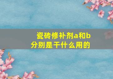 瓷砖修补剂a和b分别是干什么用的