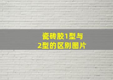 瓷砖胶1型与2型的区别图片