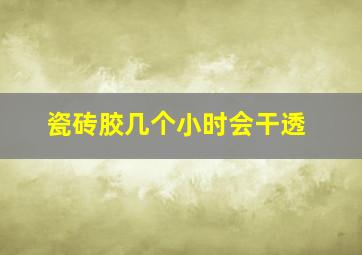 瓷砖胶几个小时会干透