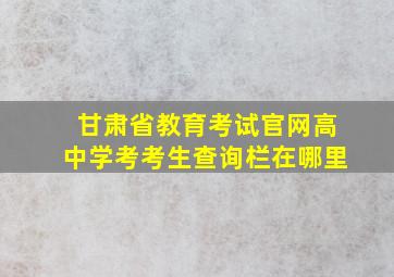 甘肃省教育考试官网高中学考考生查询栏在哪里