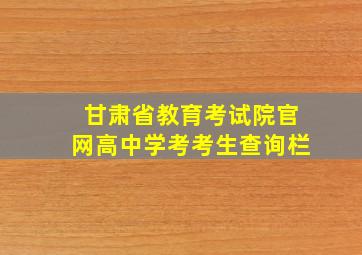 甘肃省教育考试院官网高中学考考生查询栏