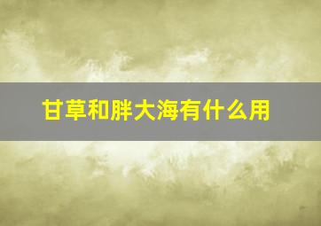 甘草和胖大海有什么用