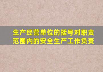 生产经营单位的括号对职责范围内的安全生产工作负责