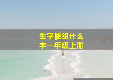 生字能组什么字一年级上册