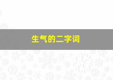 生气的二字词