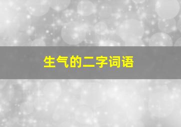 生气的二字词语