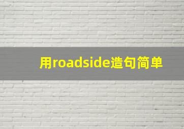 用roadside造句简单