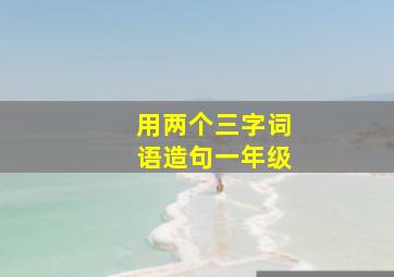 用两个三字词语造句一年级