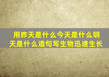 用昨天是什么今天是什么明天是什么造句写生物迅速生长