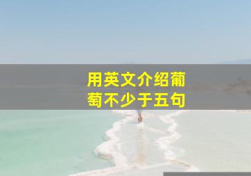 用英文介绍葡萄不少于五句