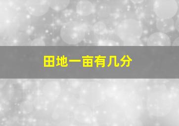 田地一亩有几分