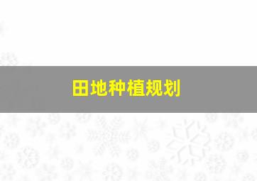 田地种植规划