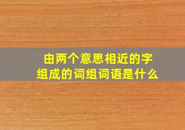 由两个意思相近的字组成的词组词语是什么