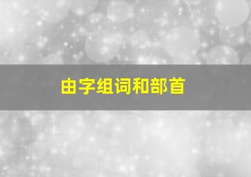 由字组词和部首