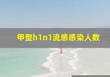 甲型h1n1流感感染人数