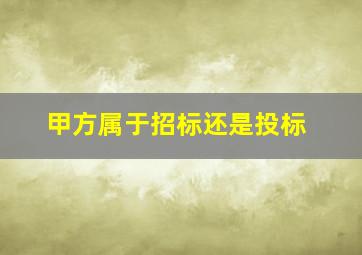 甲方属于招标还是投标