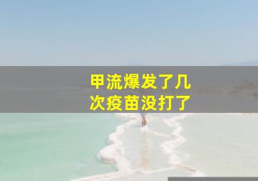 甲流爆发了几次疫苗没打了