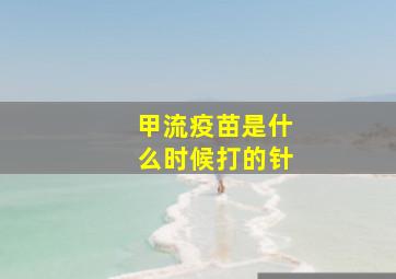 甲流疫苗是什么时候打的针