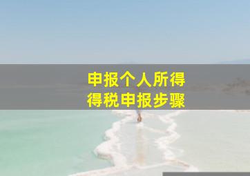 申报个人所得得税申报步骤