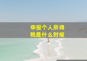 申报个人所得税是什么时候