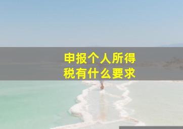 申报个人所得税有什么要求