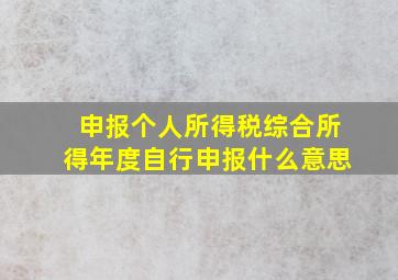 申报个人所得税综合所得年度自行申报什么意思