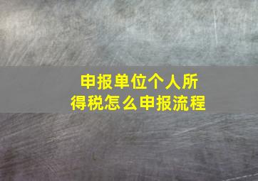 申报单位个人所得税怎么申报流程