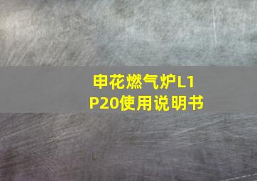 申花燃气炉L1P20使用说明书