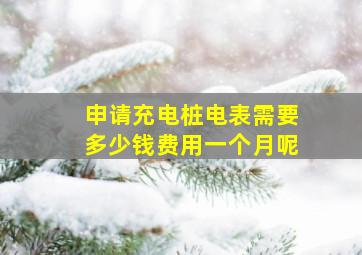 申请充电桩电表需要多少钱费用一个月呢