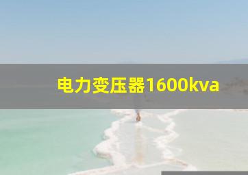 电力变压器1600kva