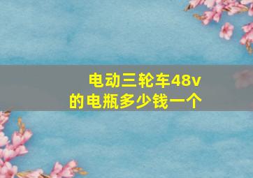 电动三轮车48v的电瓶多少钱一个