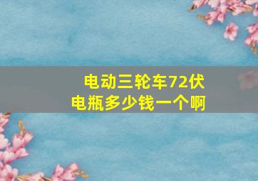 电动三轮车72伏电瓶多少钱一个啊