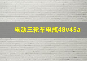 电动三轮车电瓶48v45a