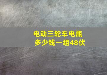 电动三轮车电瓶多少钱一组48伏