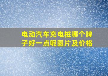 电动汽车充电桩哪个牌子好一点呢图片及价格