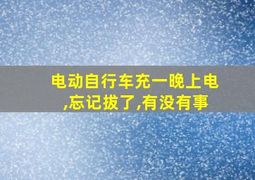 电动自行车充一晚上电,忘记拔了,有没有事