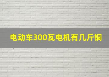 电动车300瓦电机有几斤铜