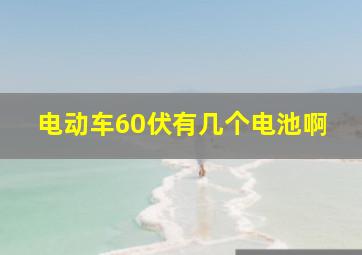 电动车60伏有几个电池啊