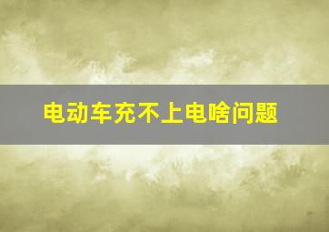 电动车充不上电啥问题