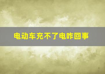 电动车充不了电咋回事