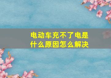 电动车充不了电是什么原因怎么解决