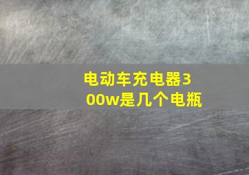 电动车充电器300w是几个电瓶