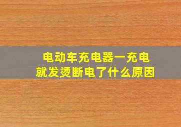 电动车充电器一充电就发烫断电了什么原因