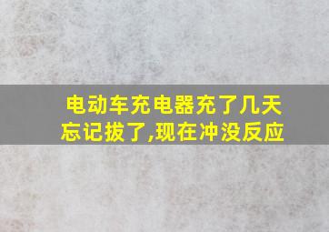 电动车充电器充了几天忘记拔了,现在冲没反应