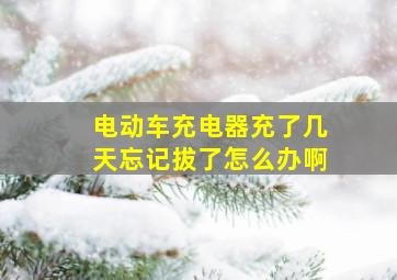 电动车充电器充了几天忘记拔了怎么办啊