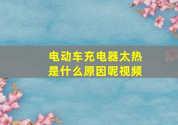 电动车充电器太热是什么原因呢视频