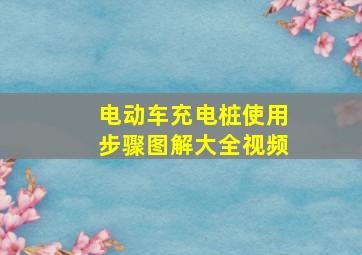 电动车充电桩使用步骤图解大全视频